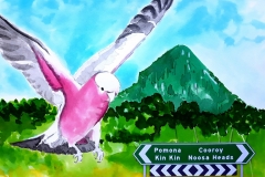 Galah