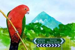 King-Parrot-scaled