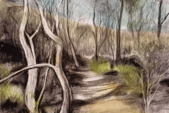 Ann-White-Down-From-Serpentine-Mixed-media