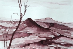 Mt-Pinbarren