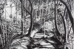 WhiteA_ink-on-paper_Cooroora-Creek