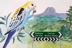 Pale-headed-rosella