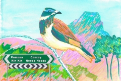 blueface-postcard-crop-sml