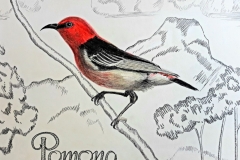 red-2-scaled